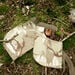 Outdoor Exploration Foraging Pockets Set  hi\-res