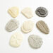 Let\'s Investigate Fossils  hi\-res