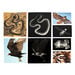 Polydron Animal X\-Rays and Picture Cards  hi\-res