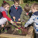 Outdoor Wooden Planter  hi\-res