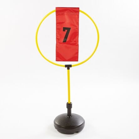 Outdoor Disc Target Course Game  hi\-res