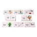 Decodable Word Dominoes Full Set Phases 2\-5  hi\-res