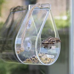 Window Bird Feeder  hi-res