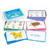 TTS French Vocabulary Builders Bumper Pack  hi\-res