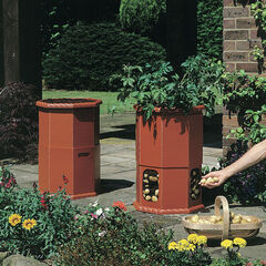 Potato Planting Barrel  Potato Planting Barrel  hi-res