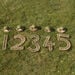 Terrific Talking Frogs  hi\-res