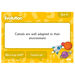 TTS Can You Convince Me? \- Science Activity Cards Year 5  hi\-res