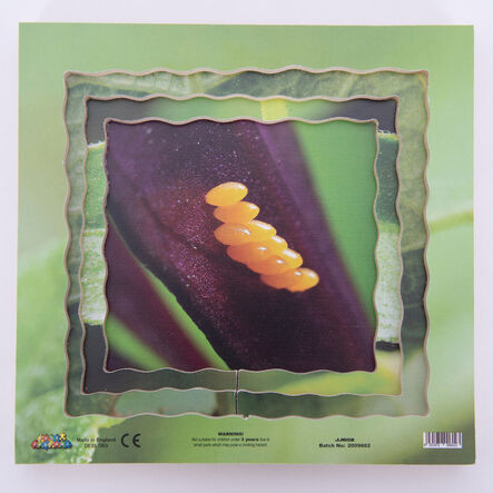 Insect Layered Life Cycle Jigsaws 4pk  hi\-res