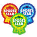 Sports Day Rosette Stickers  hi\-res