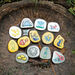 Under the Sea Story Stones  hi\-res