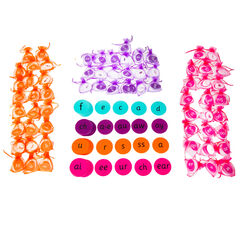 Free Flow Phonics Kit 2  Free Flow Phonics Kit 2  hi-res