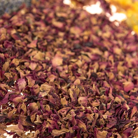 Dried Flowers Natural Collage Pack  hi\-res