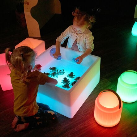 Terrific Talking Frogs  hi\-res