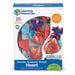 Learning Resources Complete Anatomy Models  hi\-res