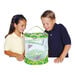 Butterfly Life Cycle Kit  hi\-res