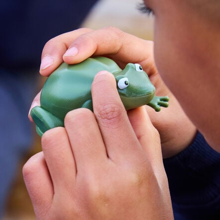 Terrific Talking Frogs  hi\-res