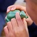 Terrific Talking Frogs  hi\-res