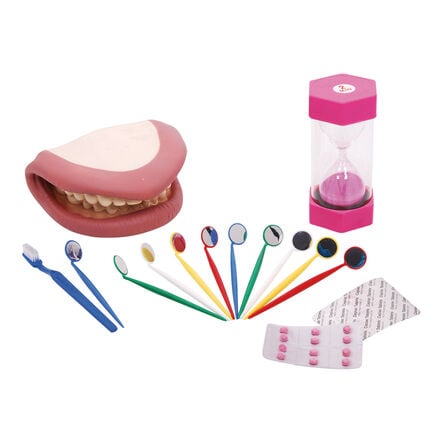 Dental Hygiene Demonstration Kit  hi\-res