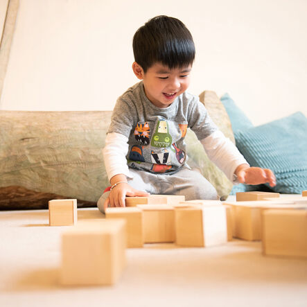 TTS Wooden Magnetic Construction Blocks  hi\-res