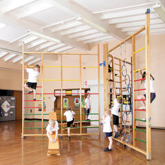Spectrum Gym Climbing Frame  Spectrum Gym Climbing Frame  hi-res