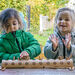 Natural Counting Log  hi\-res