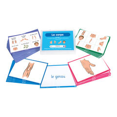 TTS French Body Parts Vocabulary Builder Activity Cards 46pk  TTS French Body Parts Vocabulary Builder Activity Cards 46pk  hi-res