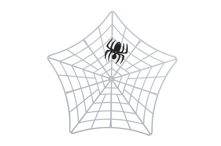 TTS Wonderful Wall Mounted Outdoor Weaving Frame Spiders Web  hi\-res
