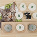 Alphabet Pebbles 26pk  hi\-res
