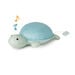Ocean Collection Musical Animals Turtle Friend  hi\-res