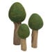 Small World Four Season Trees 12pk  hi\-res
