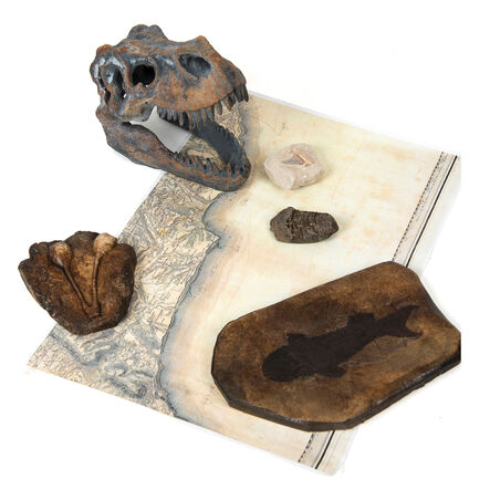 Dinosaur Fossil Kit  hi\-res