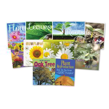 KS1 Plant Life Cycle Books 10pk  hi\-res