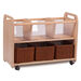Wooden Clearview Browser W\/ Castors  hi\-res