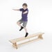 Niels Larsen Traditional Balance Benches Hooks Both Ends  hi\-res