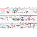TTS Stone Age to Iron Age Timelines  hi\-res