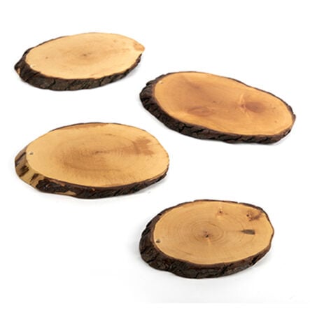 TTS Wooden Writing Boards 4pk  hi\-res
