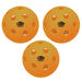 Wilks Pickleball Class Pack  hi\-res