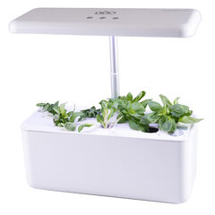 Hydroponic Smart Garden  Hydroponic Smart Garden  hi-res
