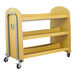 Tuf2 Lunchbox Trolleys  hi\-res