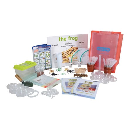 Science Life Cycles Activity kit  hi\-res