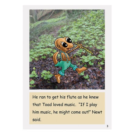 Dandelion Extended Phonic Readers Decodable Book Packs  hi\-res