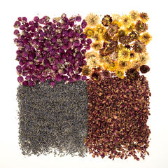 Dried Flowers Natural Collage Pack  Dried Flowers Natural Collage Pack  hi-res