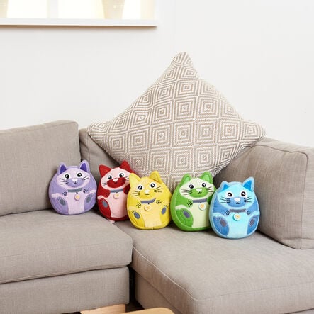 Calming Kittens and Activity Cards  hi\-res
