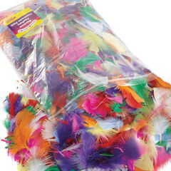 Rainbow Craft Feathers Assorted 225g  hi-res