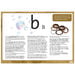 TTS Enriching Language Big Book  hi\-res