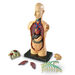 Learning Resources Complete Anatomy Models  hi\-res