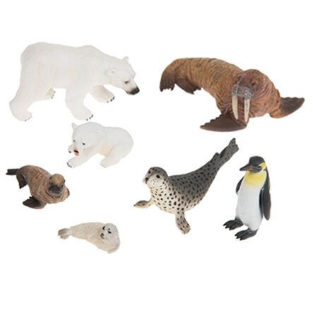 Parent and Baby Arctic and Antarctic Animal Collection  hi\-res