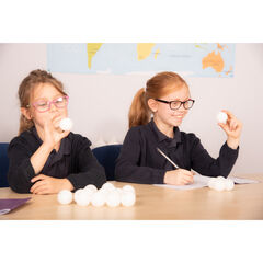 TTS French High Frequency Ping Pong Balls 21pk  TTS French High Frequency Ping Pong Balls 21pk  hi-res