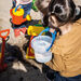 Giant Sand and Water Accessories 38pcs  hi\-res