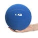 Six Colour Soft Medicine Ball Set 1kg  hi\-res